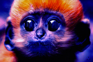 Screen shot 2014-10-27 at 17.05.50