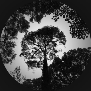 Screen shot 2015-04-07 at 12.33.50