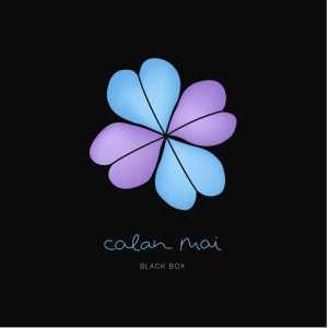 Screen shot 2015-05-31 at 15.39.42