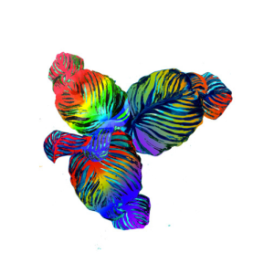 Screen Shot 2015-11-03 at 11.25.45