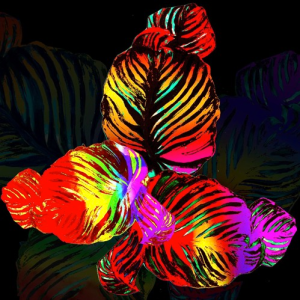 Screen Shot 2015-11-16 at 13.42.43