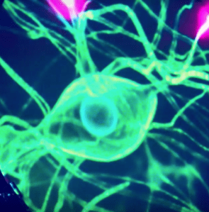 screen-shot-2016-09-12-at-07-09-08