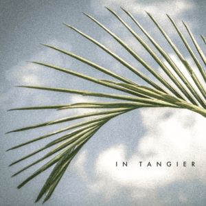 screen-shot-2016-11-28-at-08-18-56