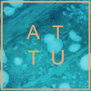 screen-shot-2016-12-06-at-14-01-31