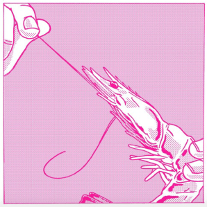 screen-shot-2017-01-20-at-19-35-52