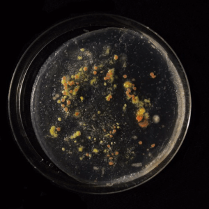 screen-shot-2017-02-22-at-22-36-33