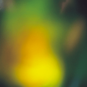 Screen Shot 2017-09-24 at 21.00.10