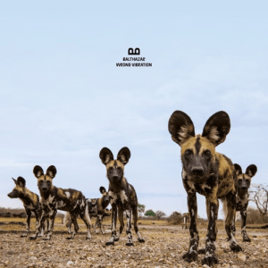 screenshot 2019-01-21 at 13.35.09